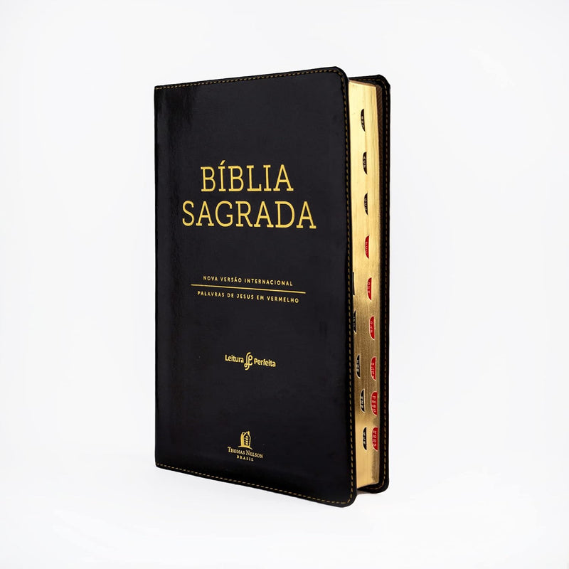 BÍBLIA SAGRADA NVI  EXTRA GRANDE - CAPA PRETA