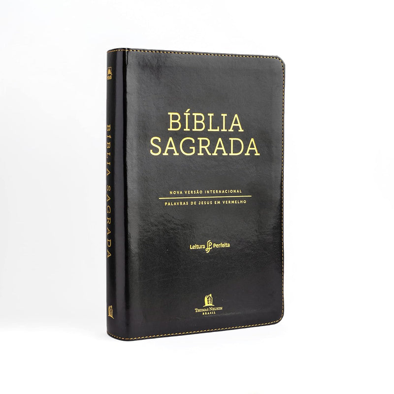 BÍBLIA SAGRADA NVI  EXTRA GRANDE - CAPA PRETA